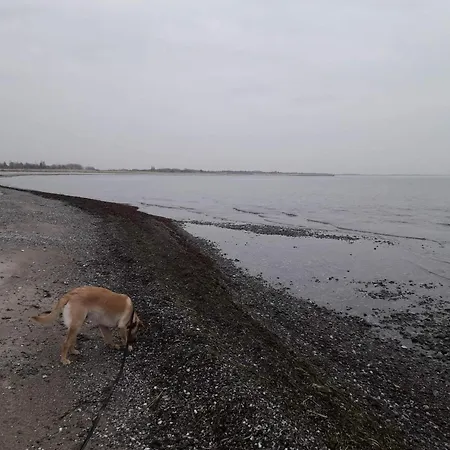 Σπίτι διακοπών 6 Person In Rodby-by Traum *