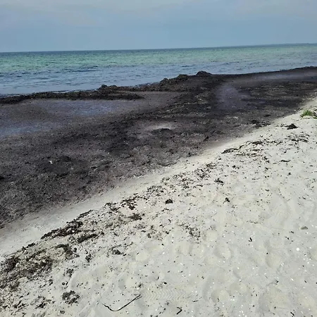 6 Person In Rodby-by Traum Σπίτι διακοπών